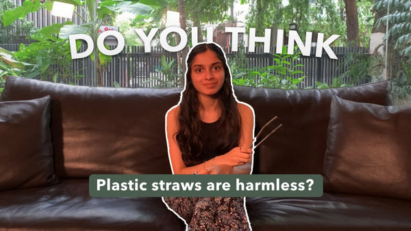 How Plastic Straws Are Harming the Ocean and How to Stop Them - Brown Living™