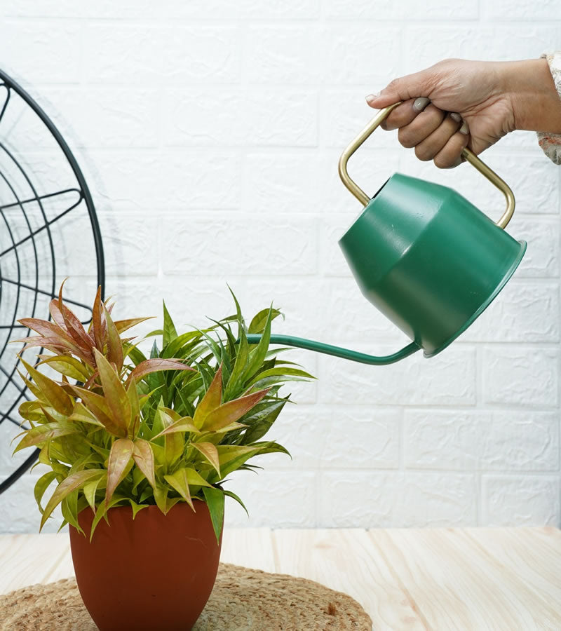 Metal Watering Can - Green 16 x 12 x 12 cm