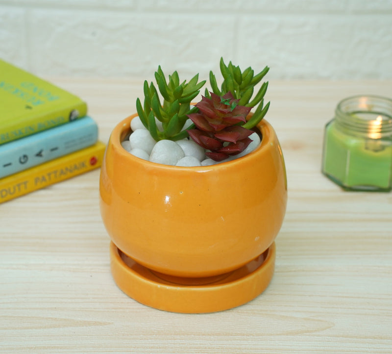 Ceramic Pots For Indoor Plants (Orange) | Verified Sustainable Pots & Planters on Brown Living™