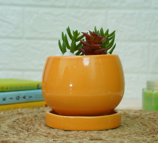 Ceramic Pots For Indoor Plants (Orange) | Verified Sustainable Pots & Planters on Brown Living™