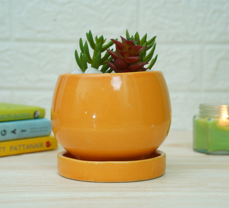 Ceramic Pots For Indoor Plants (Orange) | Verified Sustainable Pots & Planters on Brown Living™