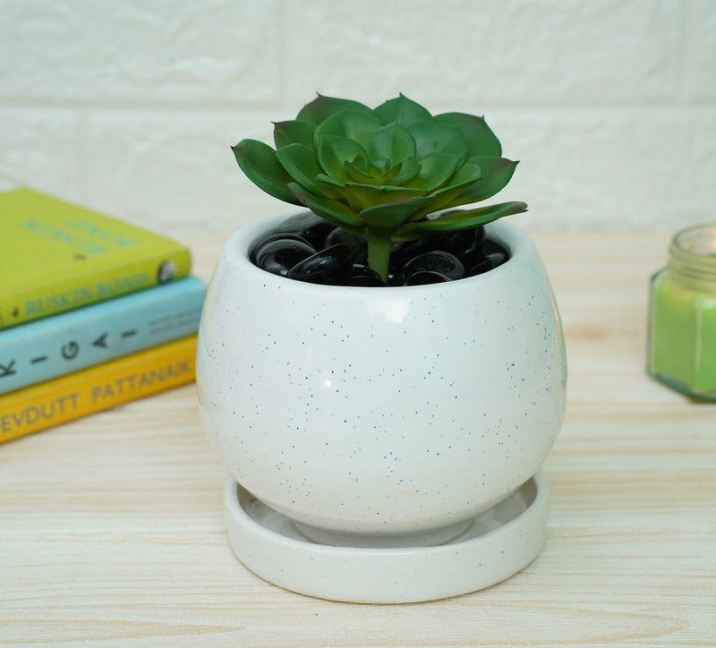 Ceramic Pots For Indoor Plants (White) | Verified Sustainable Pots & Planters on Brown Living™