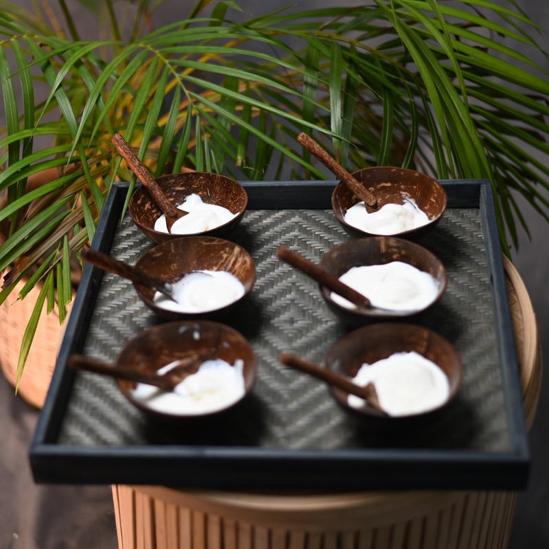 Coconut Shell Bowls with Spoon Set With Tray | Verified Sustainable Plates & Bowls on Brown Living™