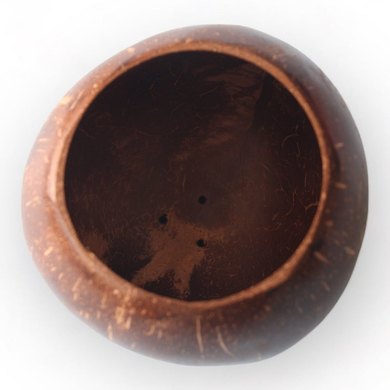 Coconut Shell Planting Pot With Base (Set of 2) | Verified Sustainable Pots & Planters on Brown Living™