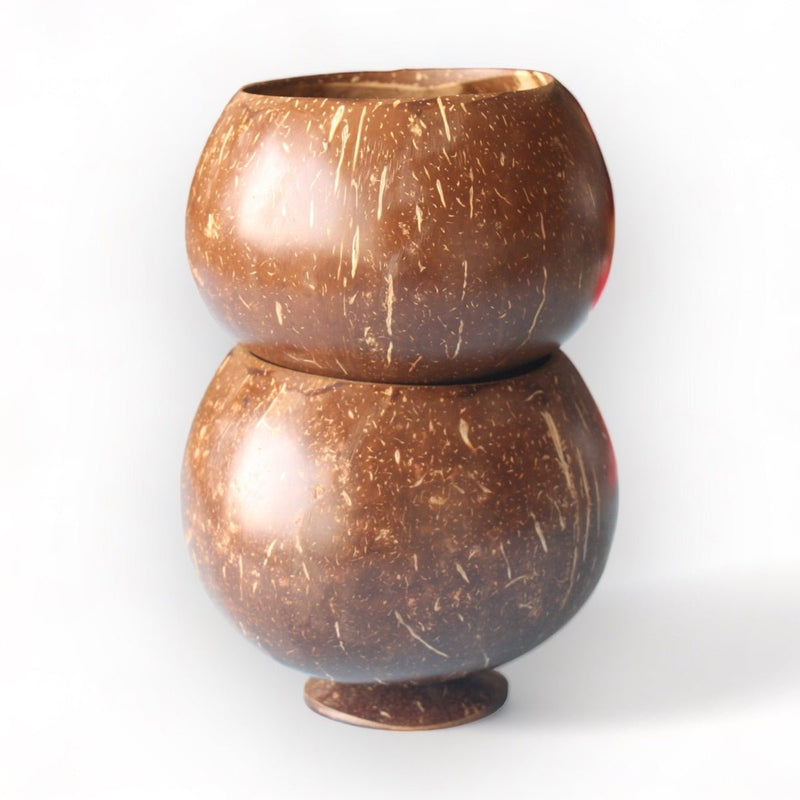 Coconut Shell Planting Pot With Base (Set of 2) | Verified Sustainable Pots & Planters on Brown Living™