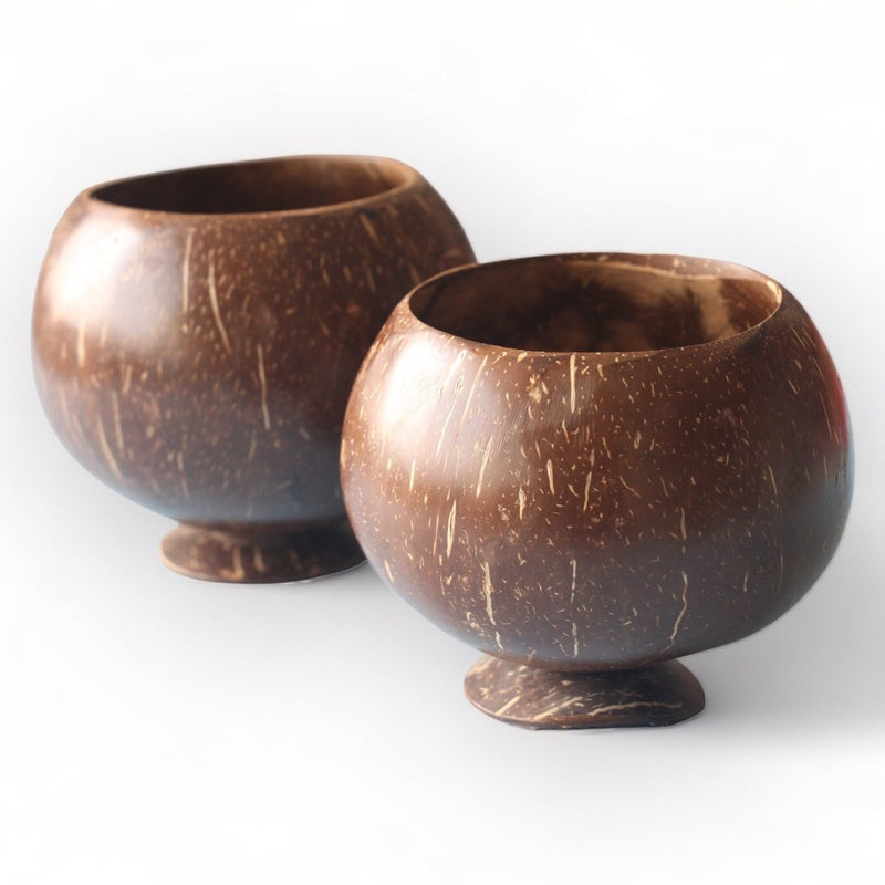 Coconut Shell Planting Pot With Base (Set of 2) | Verified Sustainable Pots & Planters on Brown Living™