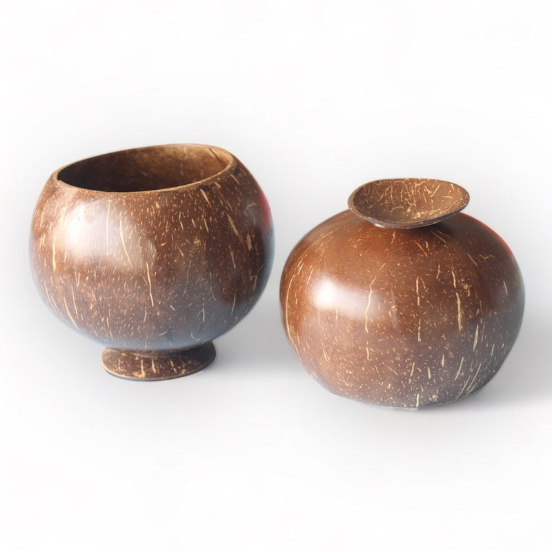 Coconut Shell Planting Pot With Base (Set of 2) | Verified Sustainable Pots & Planters on Brown Living™