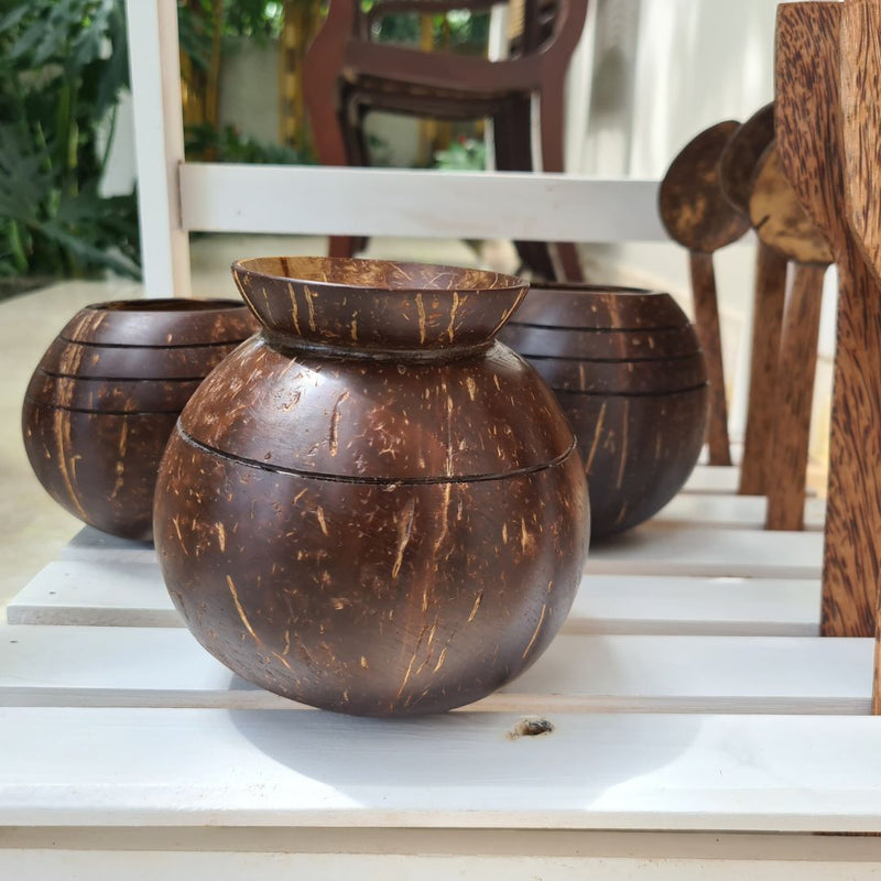 Coconut Shell Pot Shaped Planter Pots | Ideal for Small Plants (Set of 1) | Verified Sustainable Pots & Planters on Brown Living™