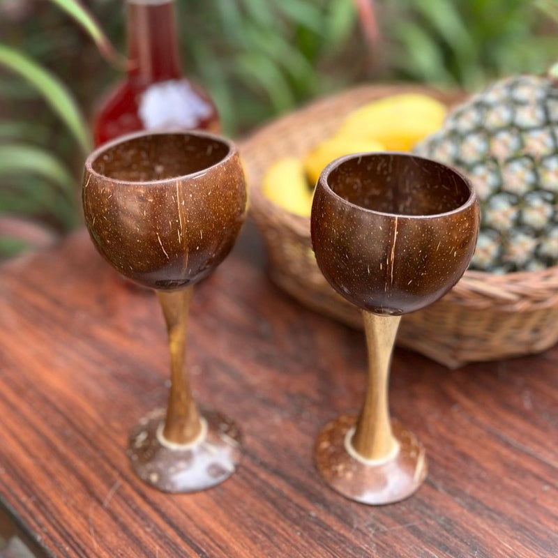 Coconut Shell & Wooden Wine Glasses | Red Wine Glasses (Set of 2) | Verified Sustainable Glasses & Tumblers on Brown Living™