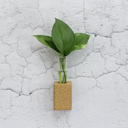 Cork Fridge Planter | Verified Sustainable Pots & Planters on Brown Living™