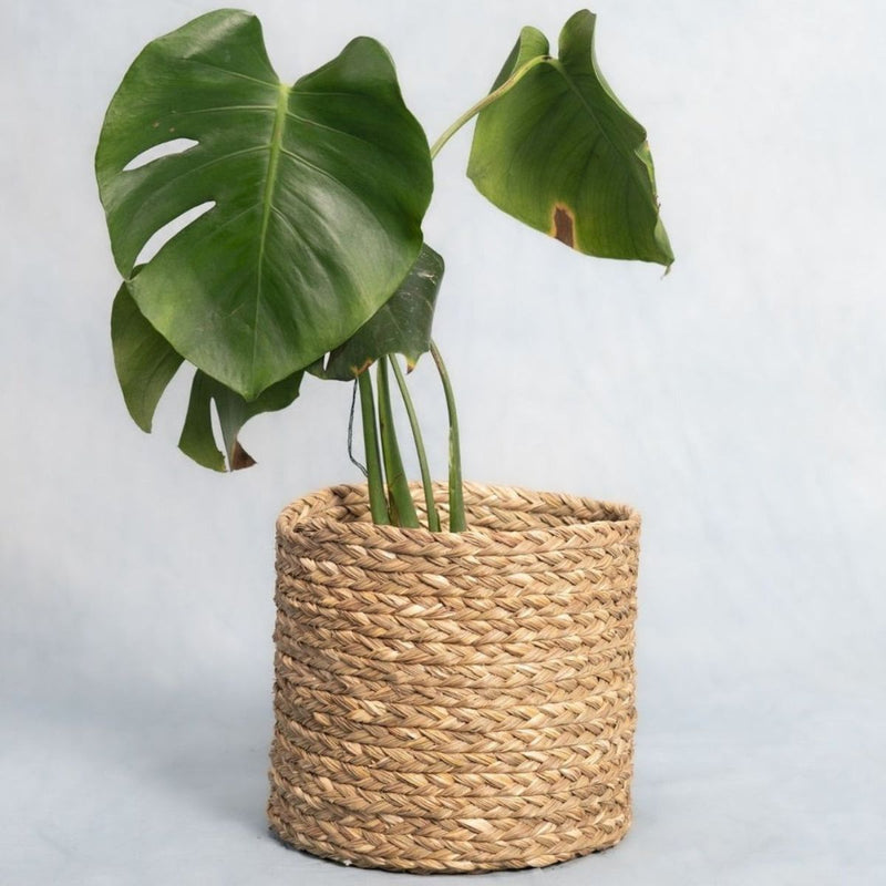 Handmade Sabai Grass Planter - Natural | Verified Sustainable Pots & Planters on Brown Living™