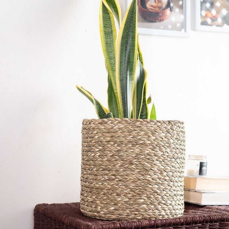 Handmade Sabai Grass Planter - Natural | Verified Sustainable Pots & Planters on Brown Living™