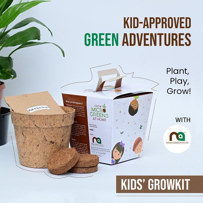 Kids DIY Microgreens Kit - Broccoli and Arugula seeds | Verified Sustainable Seeds on Brown Living™