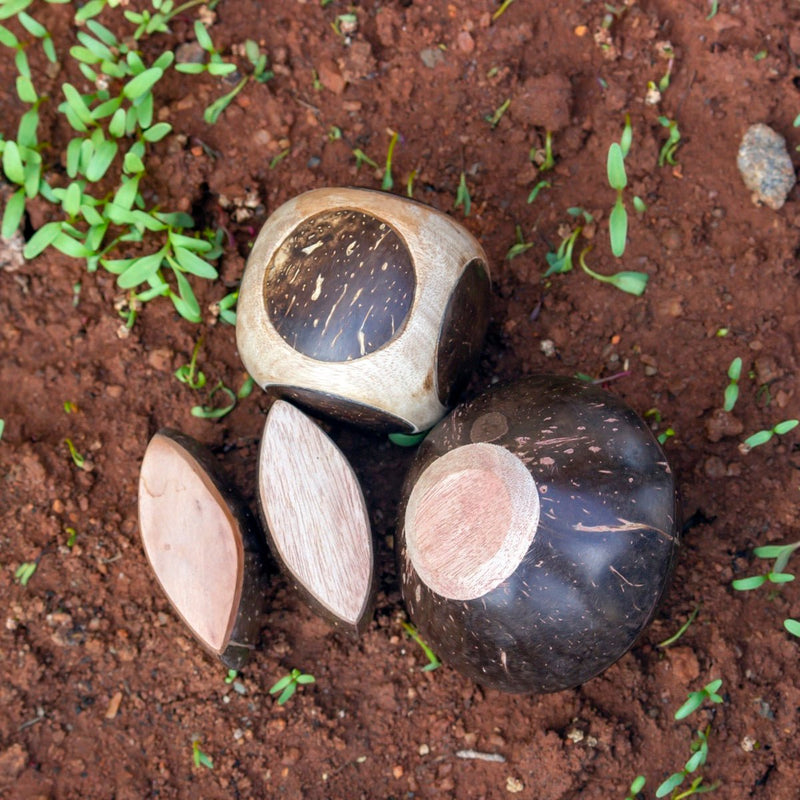 Mini Coconut Shakers Combo of 3 - Round, Square, Eye | Verified Sustainable Musical Instruments on Brown Living™