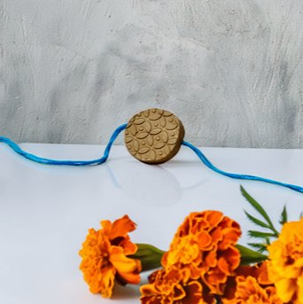 Petal Promise Big Circel Eco - Friendly Rakhi with Free Roli & Seeds! | Verified Sustainable Rakhi on Brown Living™