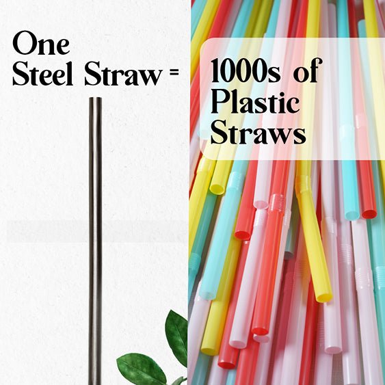 Reusable & Eco - friendly Stainless Steel Straws - Pack of 2 | Verified Sustainable Drinking Straws & Stirrers on Brown Living™