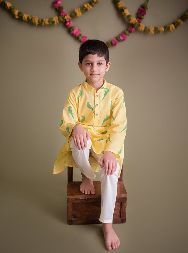 Tiya Parrot - Boys Ethnic Wear | Verified Sustainable Kids Ethnic Sets on Brown Living™