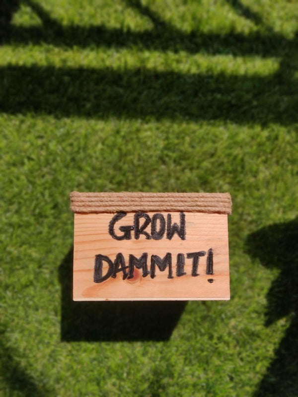 Wooden Planter Box/Square: Grow Dammit