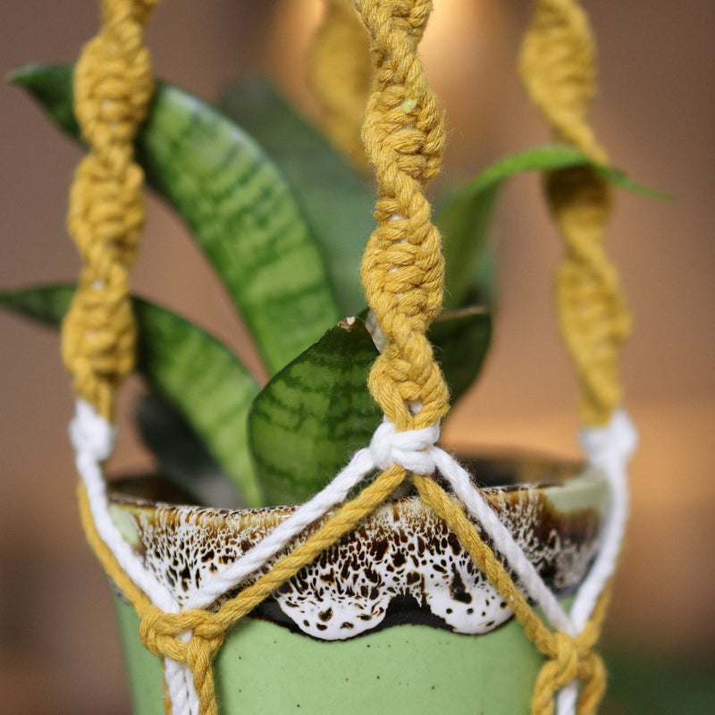 Yellow Web Macrame Plant Holder | Verified Sustainable Pots & Planters on Brown Living™