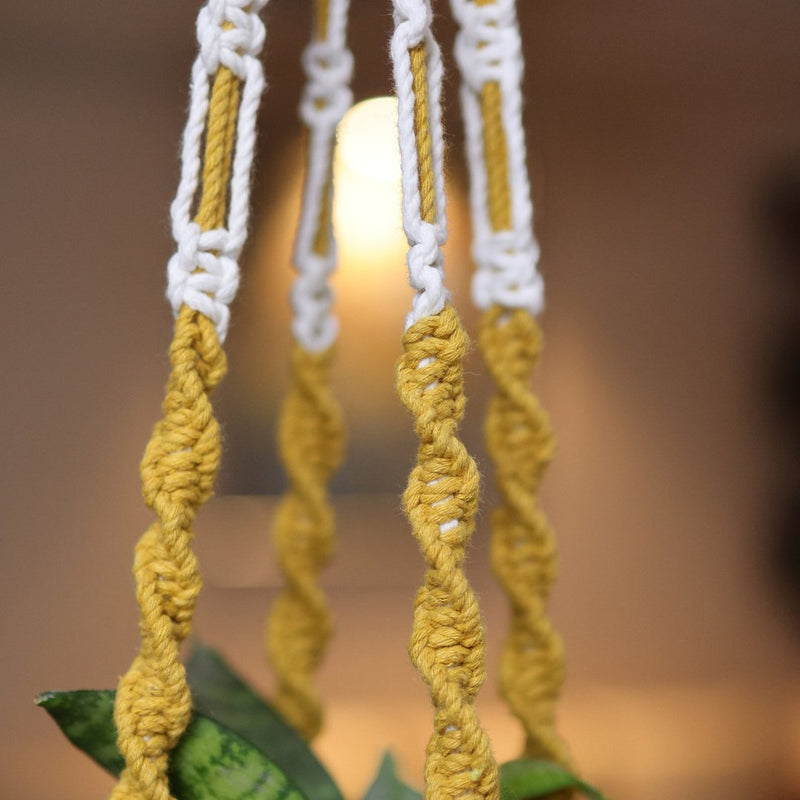 Yellow Web Macrame Plant Holder | Verified Sustainable Pots & Planters on Brown Living™