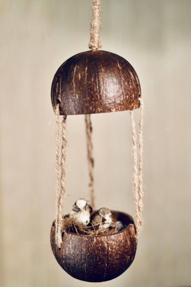 Buy Adi Coconut Bird Feeder | Shop Verified Sustainable Bird Feeder on Brown Living™