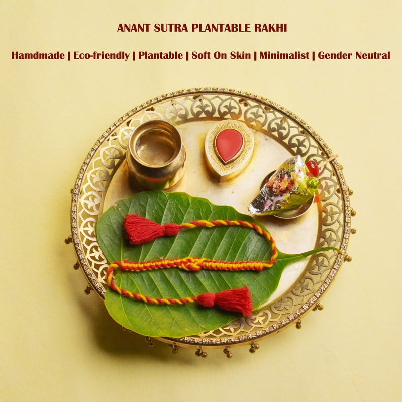 Buy Anant Sutra Plantable Seed Rakhi Box | Shop Verified Sustainable Rakhi on Brown Living™