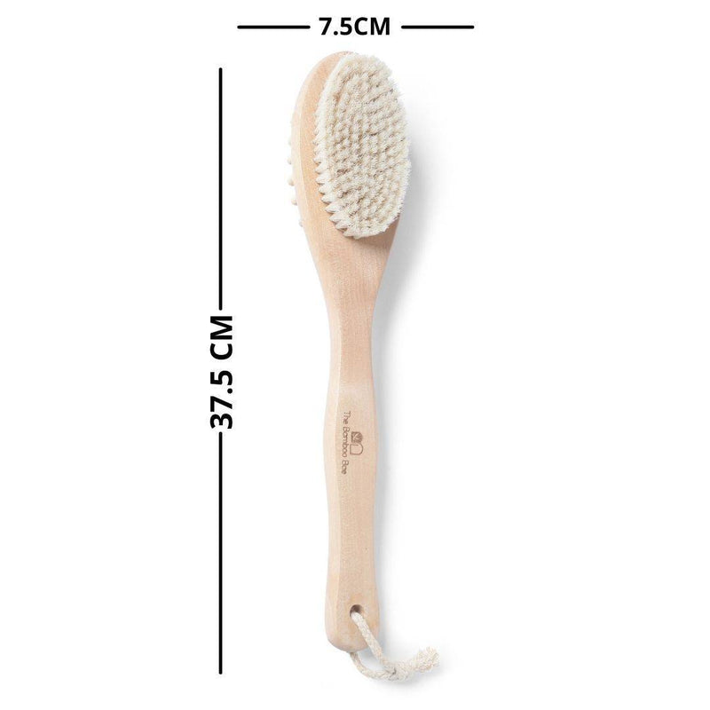 Buy Bath Brush 2 In 1 with Free Loofah | Body Brush with Handle | Shop Verified Sustainable Bath Accessories on Brown Living™