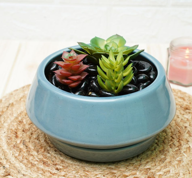 Buy Ceramic Bonsai Pots for Plants | Grey | Shop Verified Sustainable Pots & Planters on Brown Living™