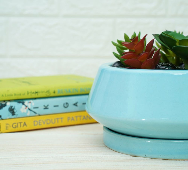 Buy Ceramic Bonsai Pots for Plants | Sky Blue | Shop Verified Sustainable Pots & Planters on Brown Living™