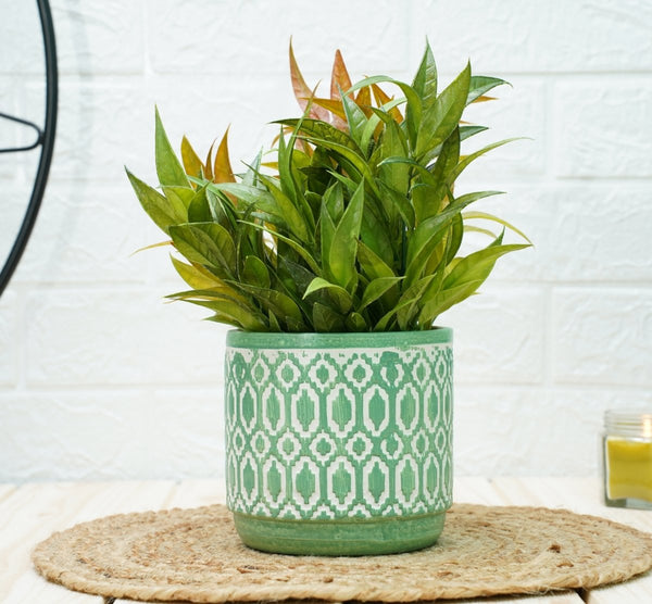 Buy Ceramic Pots For Indoor Plants 14 X 15 Cm (Green Aztec) | Shop Verified Sustainable Pots & Planters on Brown Living™