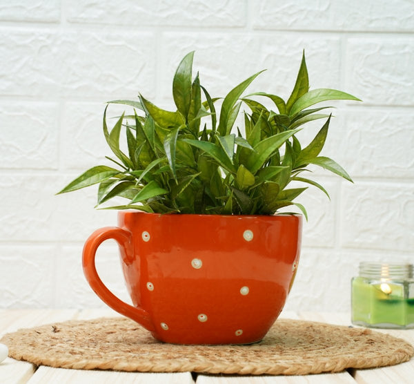 Buy Ceramic pots for Plants Cup Shape (Orange Polka) | Shop Verified Sustainable Pots & Planters on Brown Living™