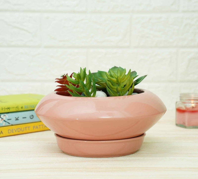 Buy Ceramic Succelent Pots for Plants | Pink | Shop Verified Sustainable Pots & Planters on Brown Living™