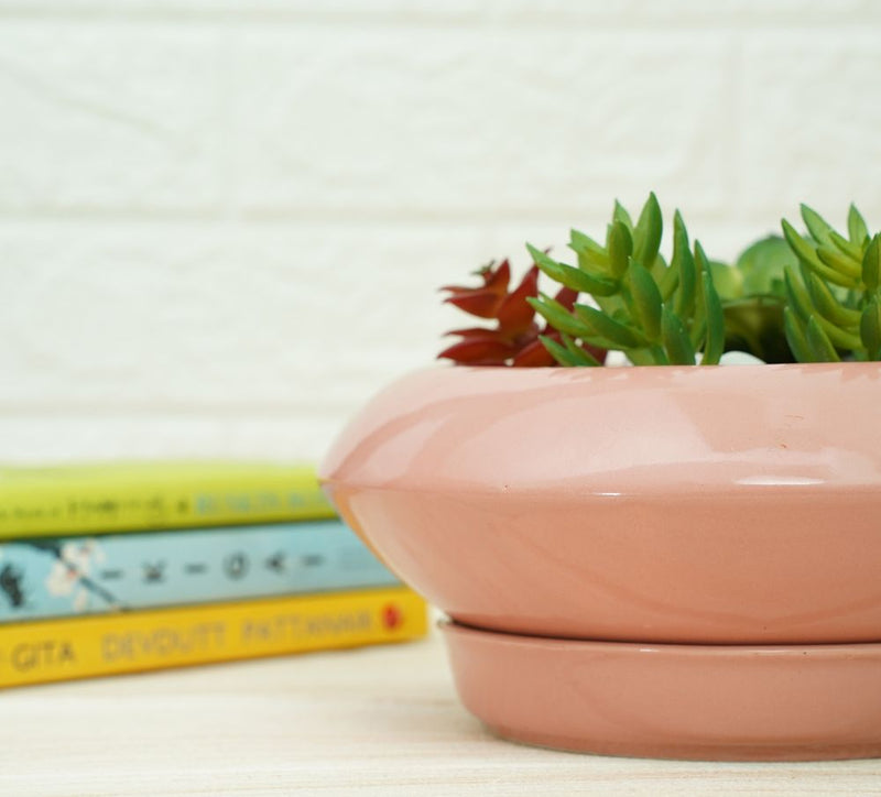 Buy Ceramic Succelent Pots for Plants | Pink | Shop Verified Sustainable Pots & Planters on Brown Living™