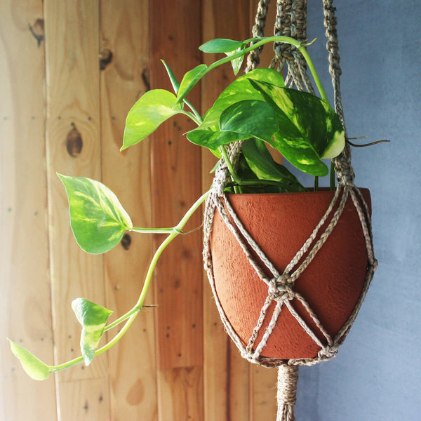 Buy Classic Terracotta Planter with Jute Macrame Hanger Design1 | Shop Verified Sustainable Products on Brown Living