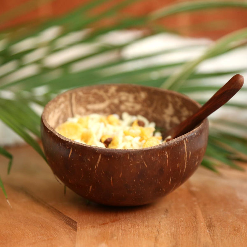 Buy Coconut Bowl 450-500ml | Shop Verified Sustainable Plates & Bowls on Brown Living™