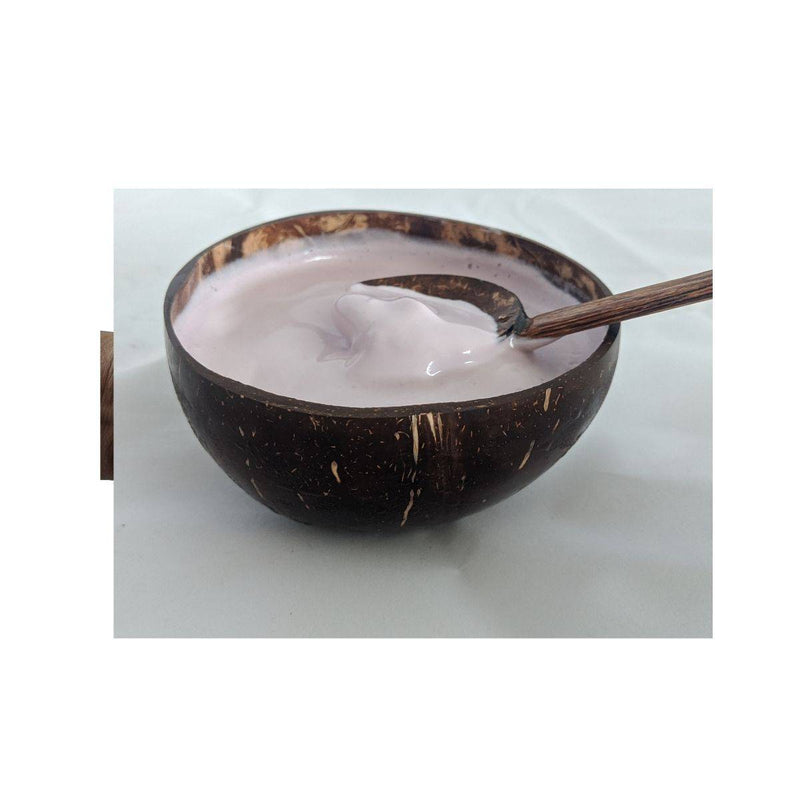 Buy Coconut Bowl /Shell + Spoon,(500 ML, Pack of 1) | Shop Verified Sustainable Plates & Bowls on Brown Living™