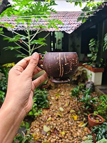 Buy Coconut Teacup - Natural & Handmade 200 ml | Set of 2 | Shop Verified Sustainable Cups & Saucers on Brown Living™