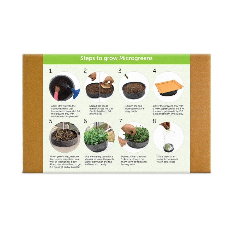 Buy DIY Ready to Use Microgreen Growing Kit | Shop Verified Sustainable Products on Brown Living