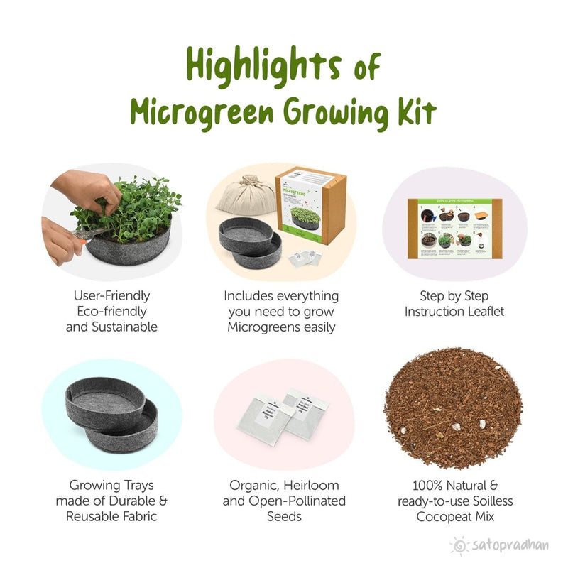 Buy DIY Ready to Use Microgreen Growing Kit | Shop Verified Sustainable Products on Brown Living