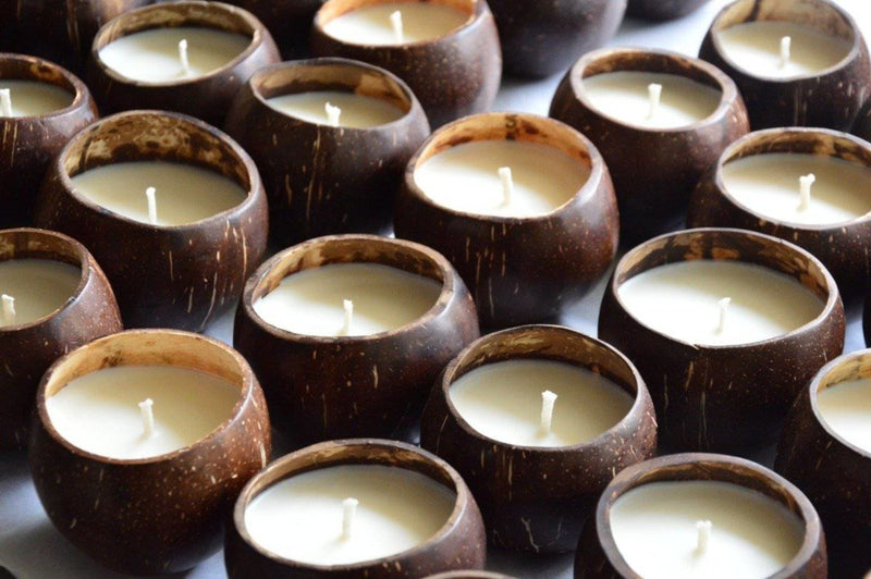 Buy Dried Rosemary Coco-Candle | Shop Verified Sustainable Candles & Fragrances on Brown Living™