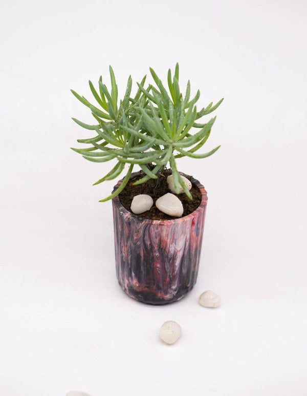 Buy EcoPots Planter- Ciel | Shop Verified Sustainable Pots & Planters on Brown Living™