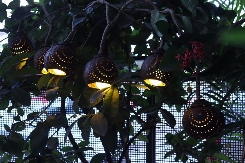 Buy Girija coconut string lights | Shop Verified Sustainable Lamps & Lighting on Brown Living™