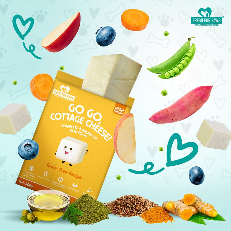 Buy Go Go Cottage Cheese | 300 gram | Shop Verified Sustainable Pet Food on Brown Living™