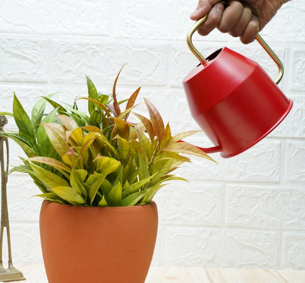 Buy Gold Dust Watering Can For Plants, Garden Tools, Plant Watering Can (Red (0.9 Lt)) | Shop Verified Sustainable Watering Can on Brown Living™