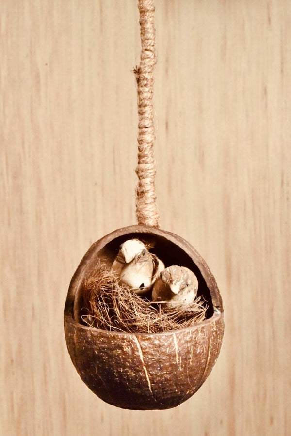 Buy Gudiya Coconut Bird Feeder | Shop Verified Sustainable Bird Feeder on Brown Living™