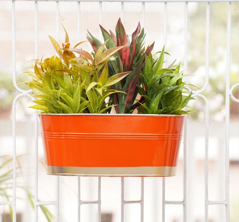 Buy Hanging Pots For Plants Balcony Railing (Orange - Pack6) | Shop Verified Sustainable Pots & Planters on Brown Living™