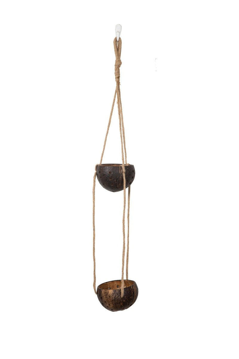 Buy Harita coconut planter | Shop Verified Sustainable Pots & Planters on Brown Living™