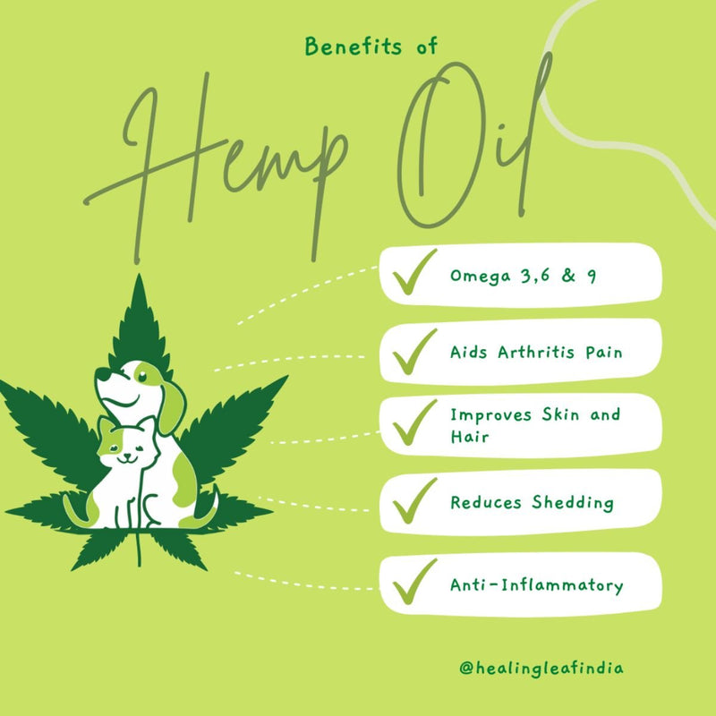 Buy Hemp Oil for Pets (30ml) | Shop Verified Sustainable Pet Supplies on Brown Living™