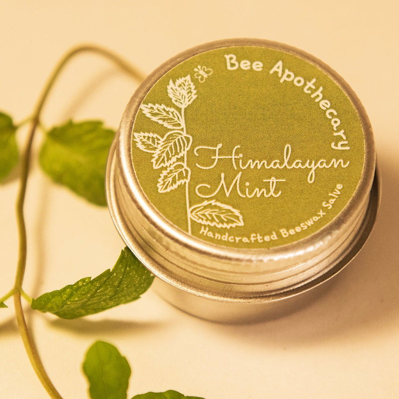 Buy Himalayan Mint Beeswax Salve- 15g | Shop Verified Sustainable Products on Brown Living