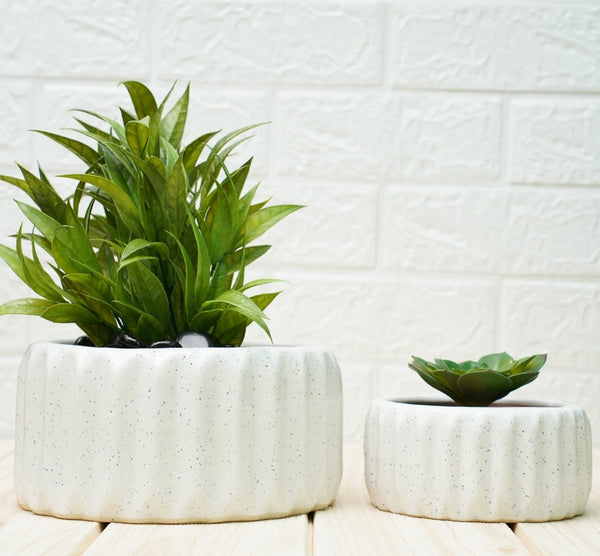 Buy Indoor Ceramic Pot for Living Room - White, Set of 2 | Shop Verified Sustainable Pots & Planters on Brown Living™